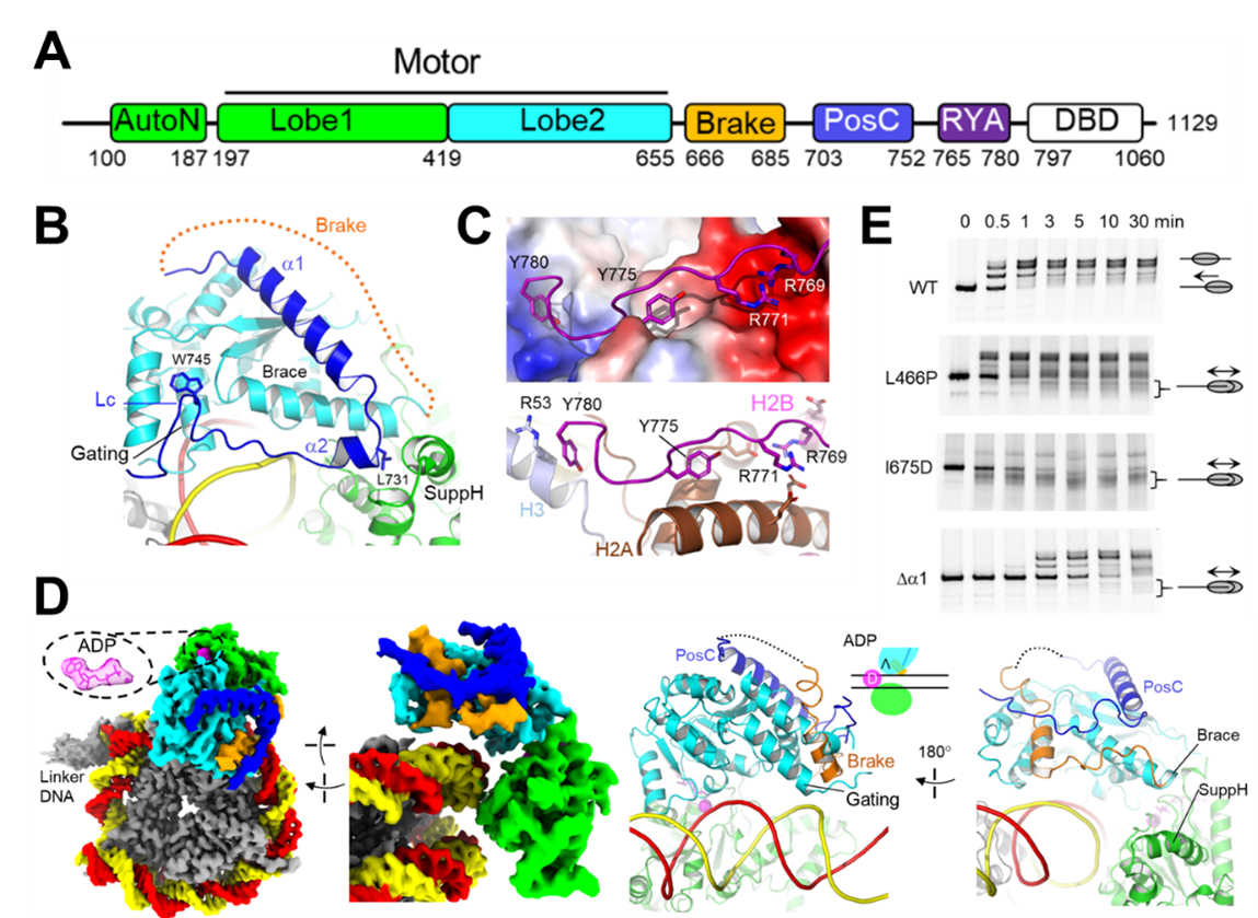 ISWI-fig2.png